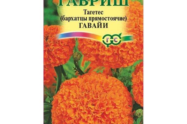 Список даркнет сайтов