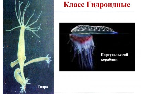 Кракен даркнет отзывы