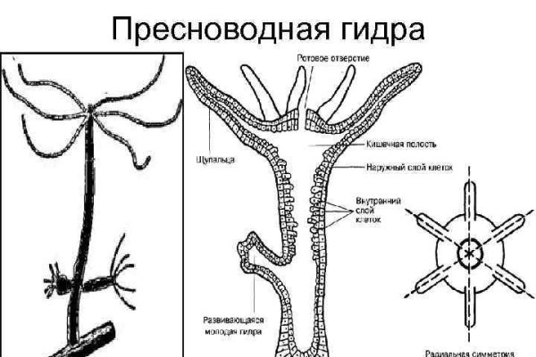 Аналог hydra