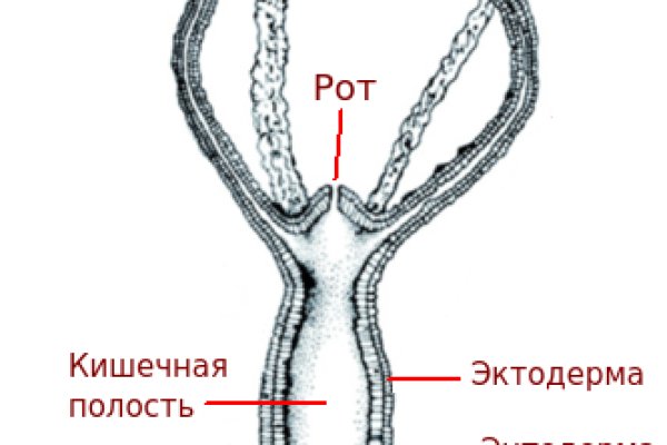 Гидра альтернатива
