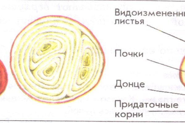 Вход в кракен чтобы купить меф