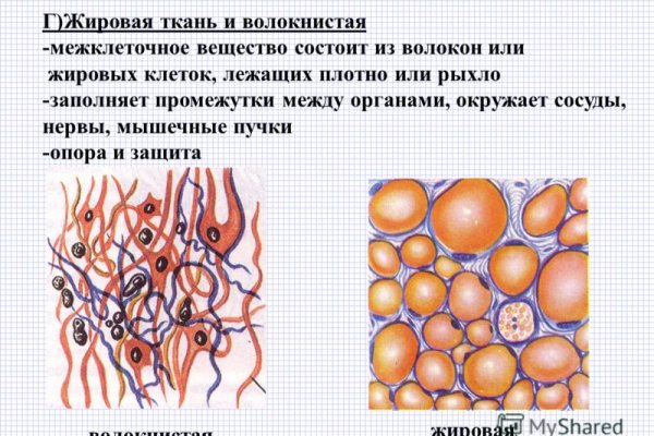 Кракен сайт как выглядит
