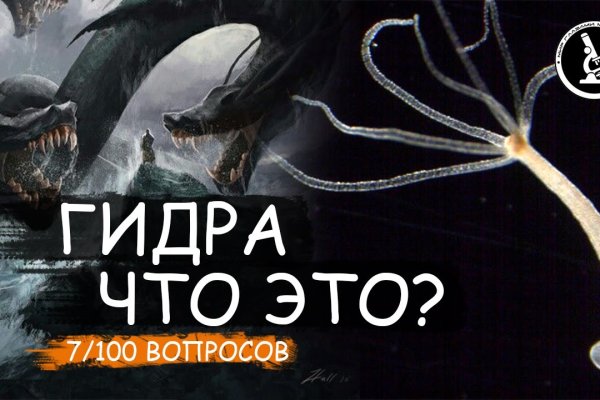 Как вывести деньги с kraken