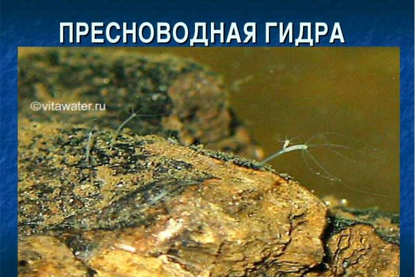 Кракен это даркнет